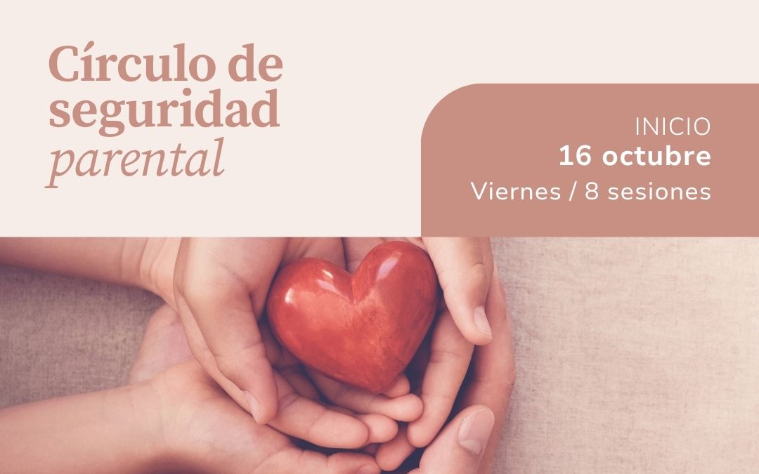Proceso Online Círculo de Seguridad Parental
